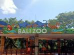 Cek Jam Buka dan Harga Tiket Masuk Bali Zoo 