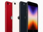 Simak 3 Hal ini Sebelum Beli iPhone SE 3 di Indonesia