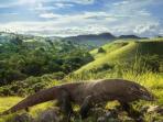 Cek Harga Tiket Masuk Taman Nasional Komodo Di Nusa Tenggara Timur