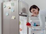 Begini Cara Memilih Kulkas dengan Kualitas Terbaik