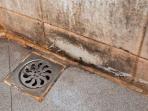 Coba Bahan Dapur Ini untuk Hilangkan Jamur di Kamar Mandi
