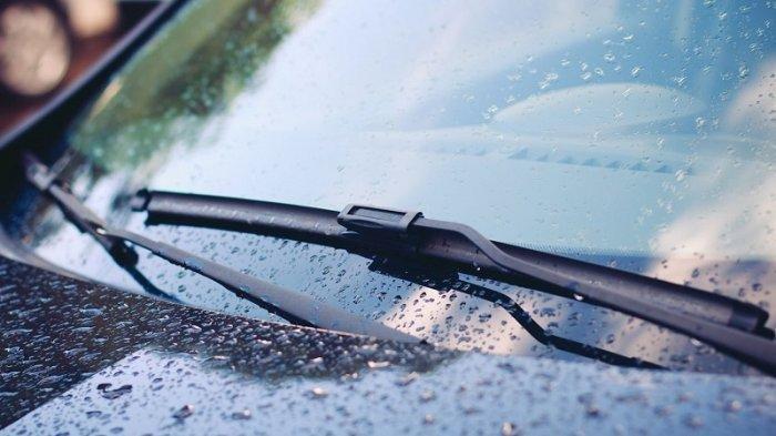 Ketahui Cara Mudah Cegah Serangan Jamur di Kaca Mobil