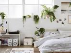 Rekomendasi Cara Mendekorasi Kamar kos dengan Anggaran Terbatas