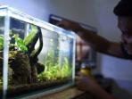 Rekomendasi Posisi Terbaik Meletakkan Akuarium di Rumah Menurut Feng Shui