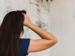 Cara Mengatasi Tembok Lembab, Hingga Muncul Corak