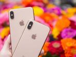 Intip Harga HP Second iPhone XS Max 256GB per September 2022