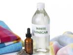 Ketahui, Ini 5 Benda yang Dapat Dibersihkan dengan Cuka 