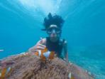 Tak Bisa Berenang Namun Ingin Menikmati Keindahan Bawah Laut? Ini 7 Tips Snorkeling untuk Pemula