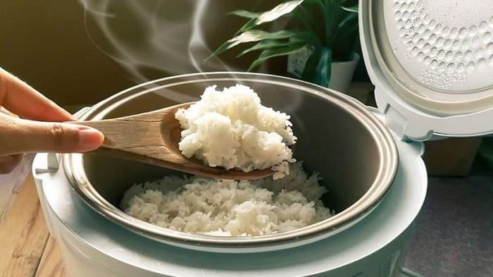 Bau Tidak Sedap? Simak Cara Mengatasi dan Membersihkan Rice Cooker yang Berisi Nasi Basi