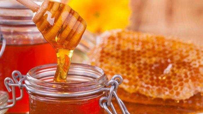 Gambar madu (TribunJatim.com) 
