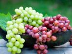 Ketahui Yuk, Ternyata Ini Perbedaan Manfaat dan Kandungan Buah Anggur Berdasarkan Warnanya