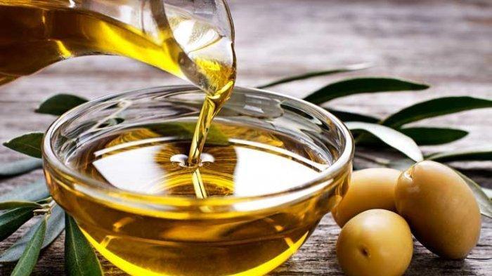 Minyak zaitun (Tribunnews.com) 