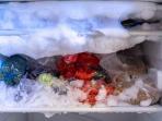 Mudah Banget, Begini Tips Bersihkan Freezer Kulkas yang Penuh Bunga Es