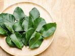 Selain Sebagai Penyedap Masakan, Simak 4 Manfaat Daun Jeruk Purut untuk Kesehatan