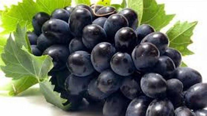 ilustrasi Buah anggur hitam | Tribunnews.com