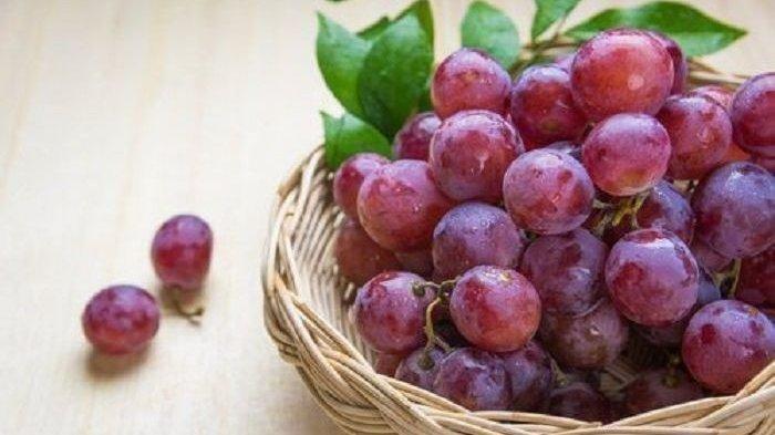 ilustrasi Buah anggur merah | Tribunnews.com