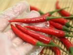 Ampuh Banget, Begini Cara Menghilangkan Rasa Panas di Tangan Akibat Terkena Cabai 