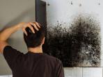 Cara Membersihkan Jamur di Dinding Rumah