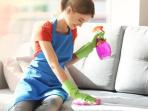 Cukup Gunakan Bahan Dapur, Begini Cara Menghilangkan Bau Tak Sedap di Sofa Rumah 