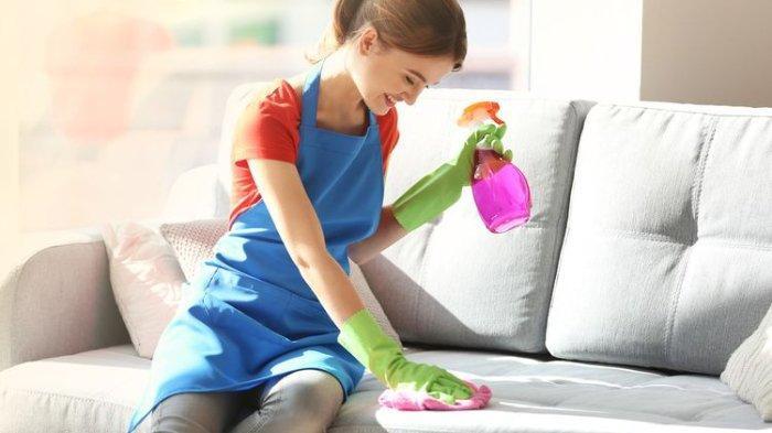 Cukup Gunakan Bahan Dapur, Begini Cara Menghilangkan Bau Tak Sedap di Sofa Rumah 