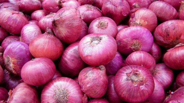 Gambar bawang merah (TribunJogja.com)