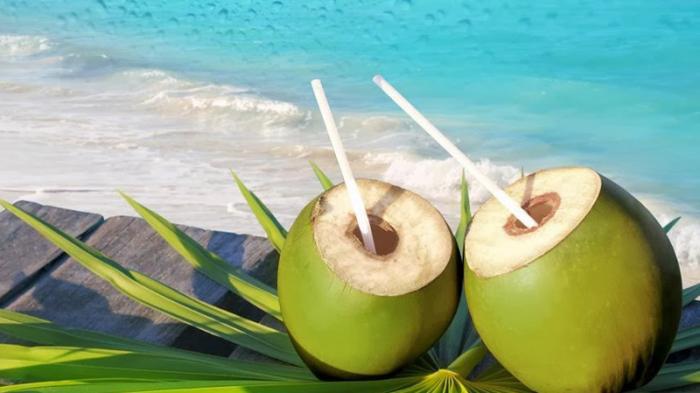 Gambar buah kelapa (TribunPontianak.com) 