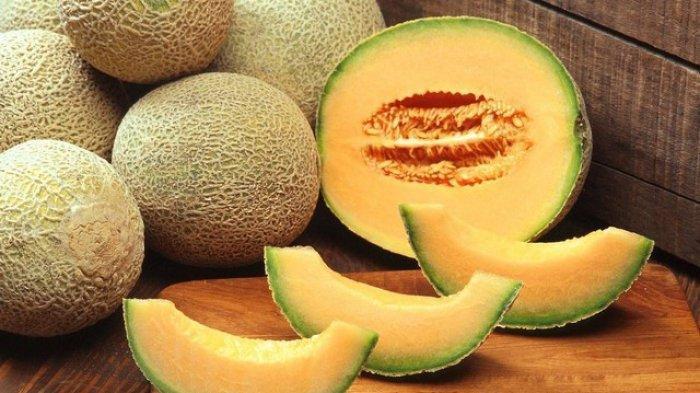 Gambar buah melon (TribunJatim.com) 