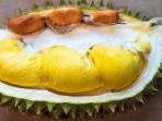 Jangan Langsung Buang, Ketahui 7 Manfaat di Balik Biji Durian untuk Kesehatan