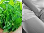 Jarang Diketahui, Ini 4 Manfaat Kemangi untuk Atasi Masalah Kewanitaan pada miss v