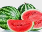 Kamu Wajib Tahu, Ini 5 Manfaat Buah Semangka Bagi Kesehatan 