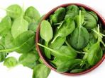 Baik untuk Kesehatan Tubuh, Ini Segudang Manfaat Bayam Hijau 