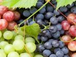 Bisa Cegah Penyakit Kronis, Ini 4 Manfaat Anggur untuk Kesehatan Tubuh 