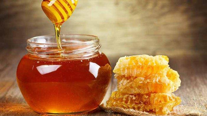 Gambar madu (Tribunnews.com) 
