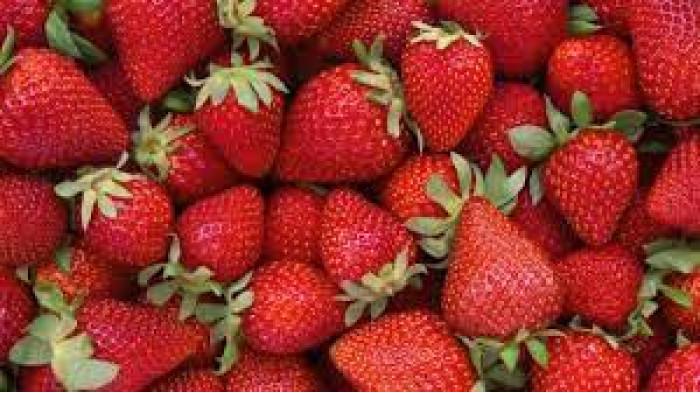 Gambar strawberry (Tribunnews.com) 