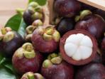 Kamu Wajib Tahu, 8 Manfaat Buah Manggis untuk Kesehatan Tubuh 
