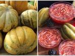 Wajib Tahu, Ini Nutrisi dan Manfaat Buah Blewah untuk Kesehatan