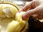 Waspadai, Ini Efek Penyakit Berbahaya yang Ditimbulkan Buah Durian 