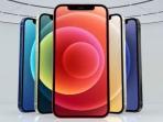 Mulai Rp 8 Jutaan, Cek Harga iPhone 12 Series Bekas di Indonesia