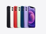 Jelang Lebaran, Cek Harga Bekas iPhone 12 dan iPhone 13 per April 2023