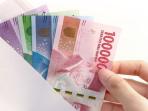 Gaji Ke-13 PNS Cair Bulan Juni, Simak Daftar Penerima dan Besarannya