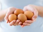 8 Hal yang Akan Terjadi Jika Terlalu Banyak Makan Telur, Salah Satunya Timbul Jerawat