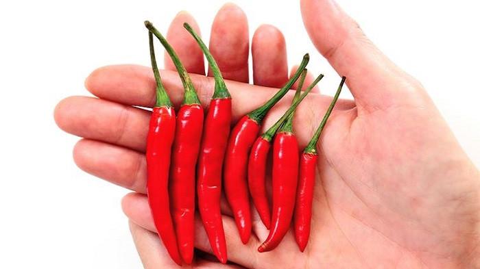Dijamin Awet, Begini Cara Menyimpan Cabai agar Tidak Cepat Busuk 