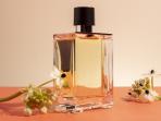 3 Rekomendasi Brand Parfum Lokal Dupe Merek Mahal, Harga di Bawah Rp 100 Ribu