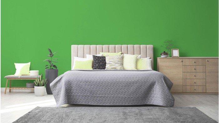 Cat kamar warna hijau (Tribunnews.com) 