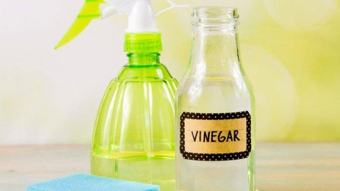 Cuka putih (TribunShopping.com) 