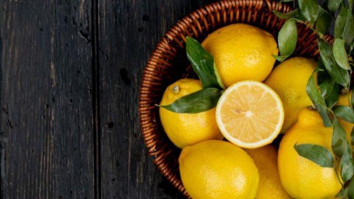 Gambar lemon (TribunBatam.id) 