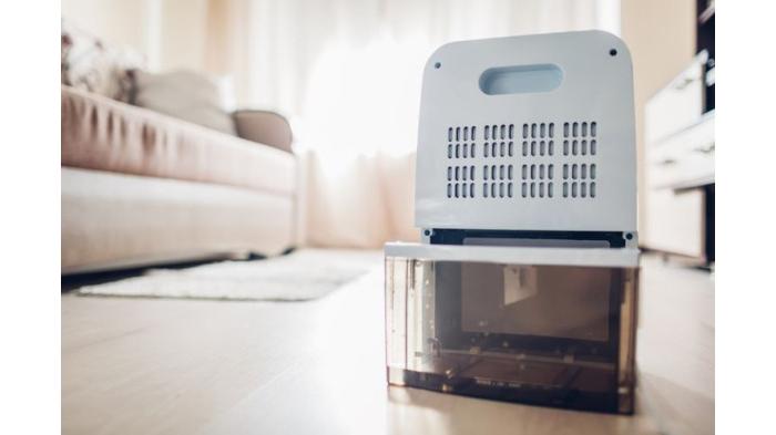 Ilustrasi Dehumidifier/ Salah Satu Alat Elektronik yang Bisa Bikin Boros Listrik dan Tagihan Membengkak. (Shutterstock)