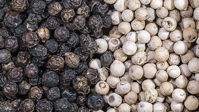 Ilustrasi Lada (TribunnewsWiki.com) 