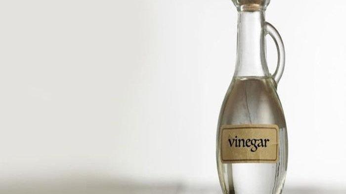 Ilustrasi cuka (Tribunnews.com) 