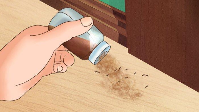 Ilustrasi membasmi serangga (TribunStyle.com)